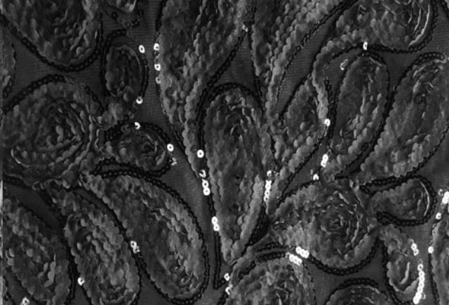 Rental store for Black Fantatstic Paisley in St. Louis MO