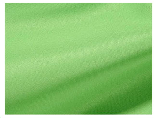 Rental store for Lime Polyester in St. Louis MO