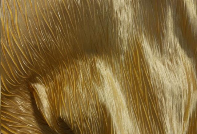 Rental store for Gold Extreme Crush in St. Louis MO