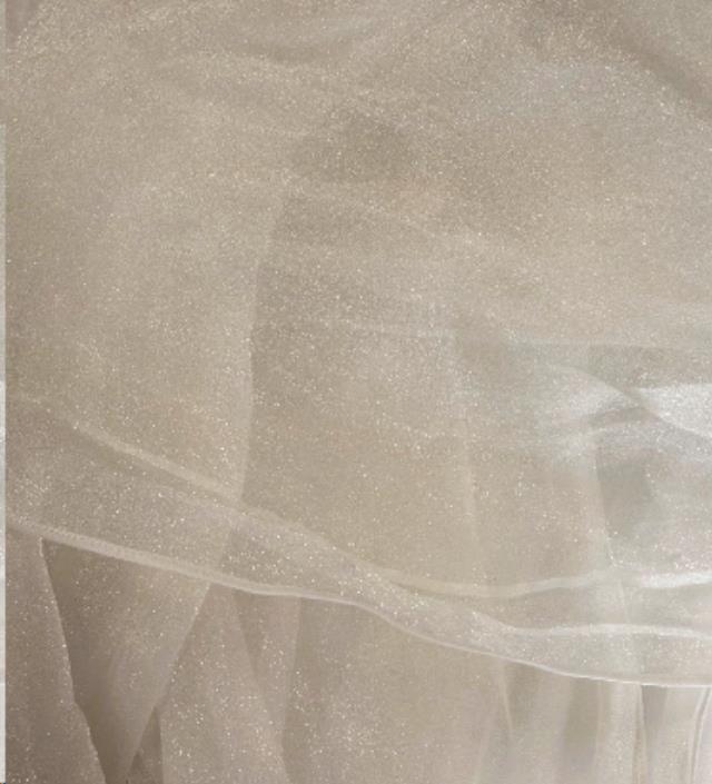 Rental store for Ivory Organza Runner in St. Louis MO