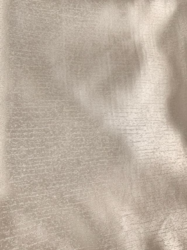 Rental store for Ivory Stealth in St. Louis MO