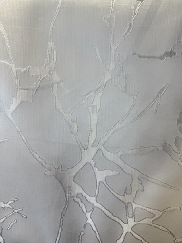 Rental store for Artisian White in St. Louis MO